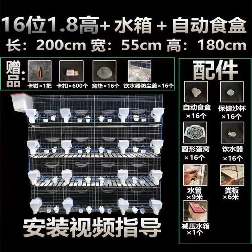 鹏实鹏实加粗鸽笼12笼位肉鸽子笼养殖笼16笼位繁殖笼家用养殖场特大号